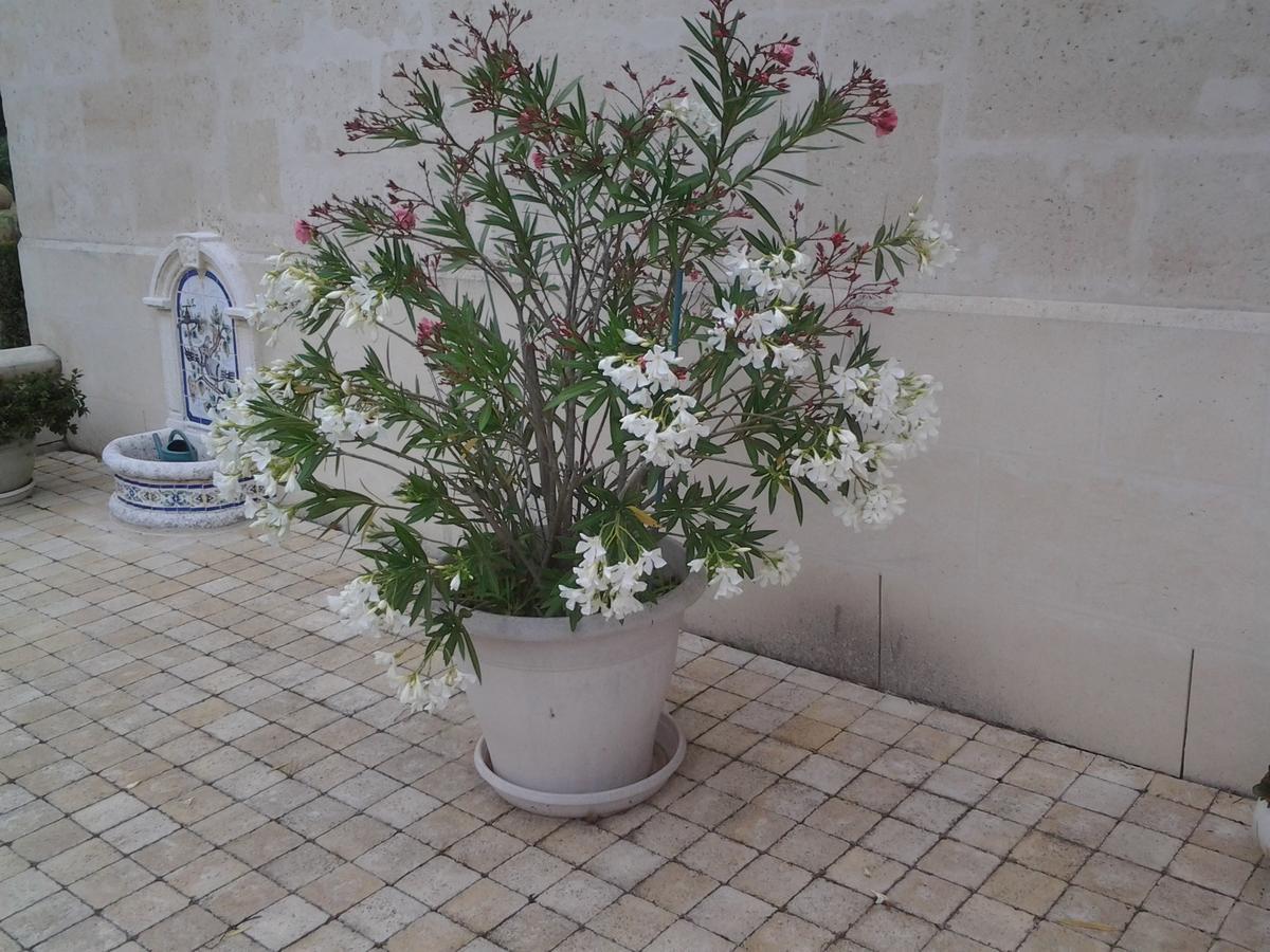 Le Moulin Bed & Breakfast Pontoise-les-Noyon Exterior photo